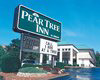 Pear Tree Inn by Drury Poplar Bluff, Poplar Bluff, Missouri