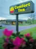 Comfort Inn, St George, South Carolina