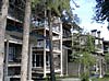 Forest Condominiums, Keystone, Colorado